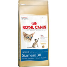 Royal Canin Siamese 38 kassitoit siiami kassile, 10 kg